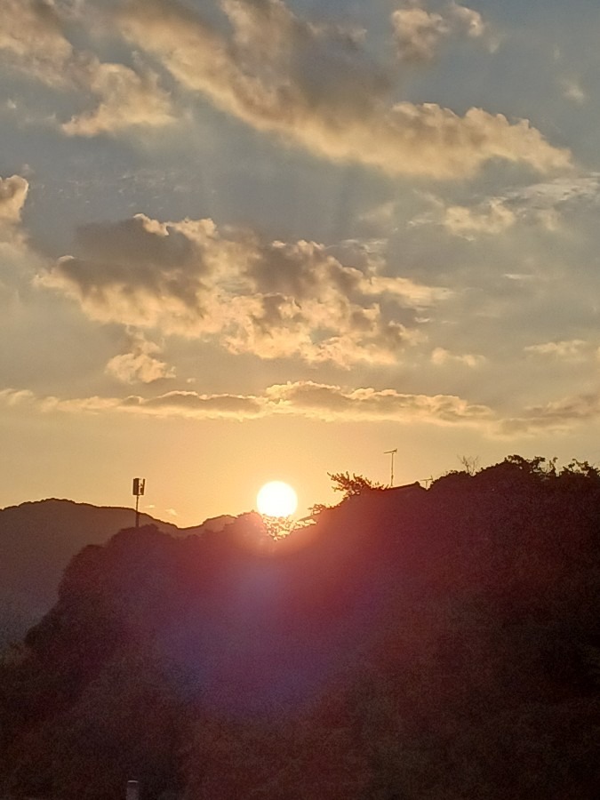 雲もくもく部(*^^*)•*¨*•.¸¸☆朝日🌅