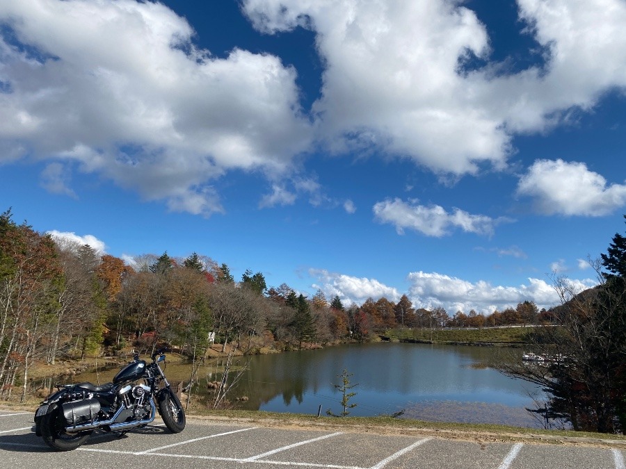 茶臼山高原