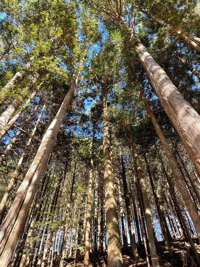 三峯神社、奥宮