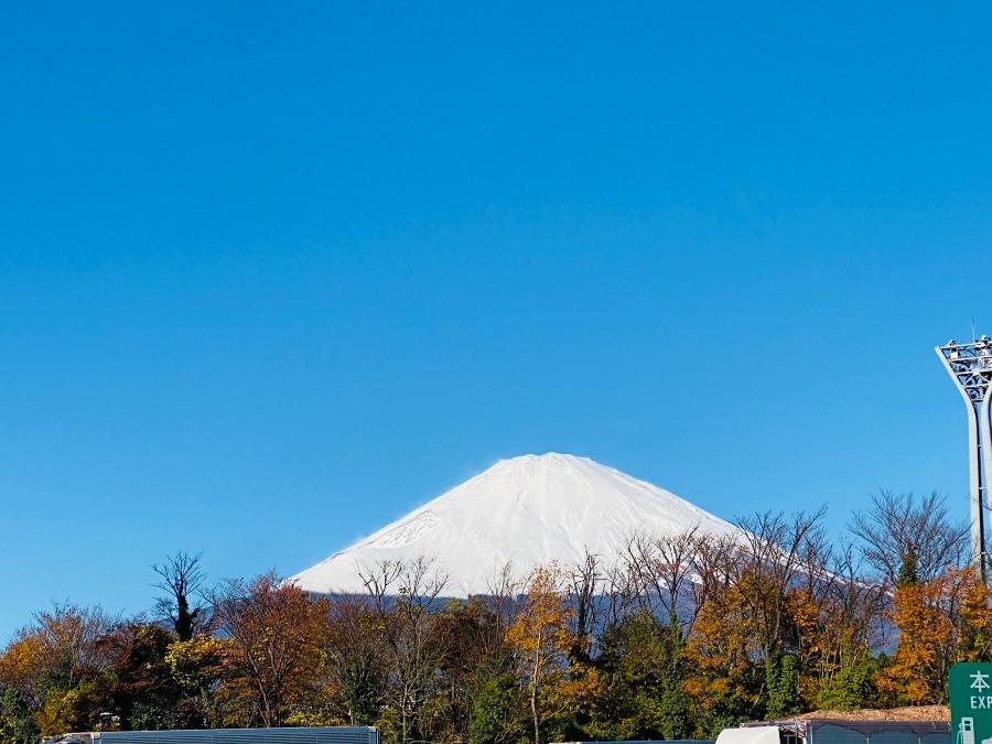 富士山