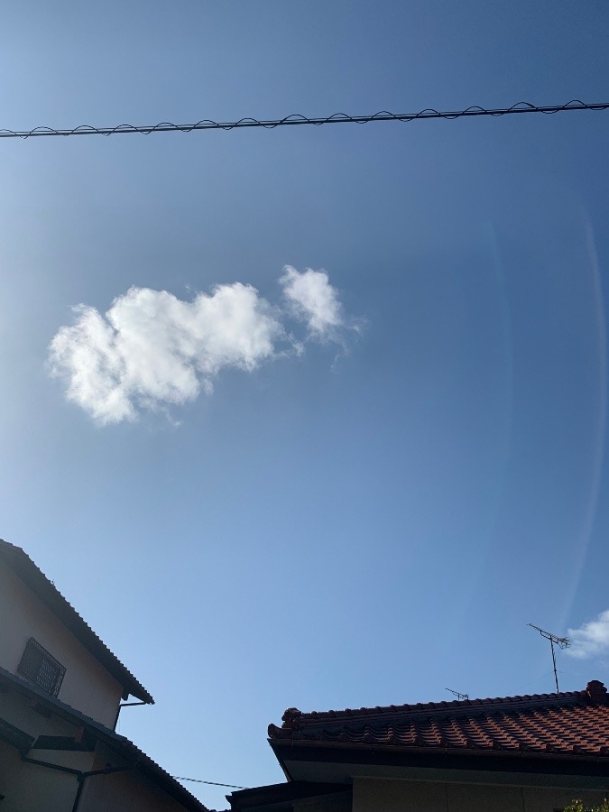 今朝の空