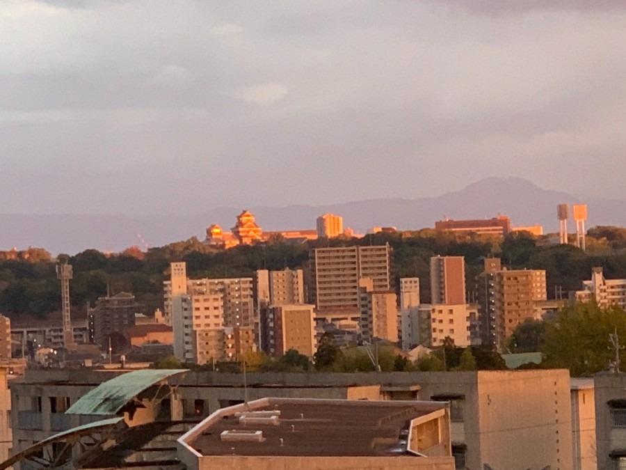 夕日に映る熊本城