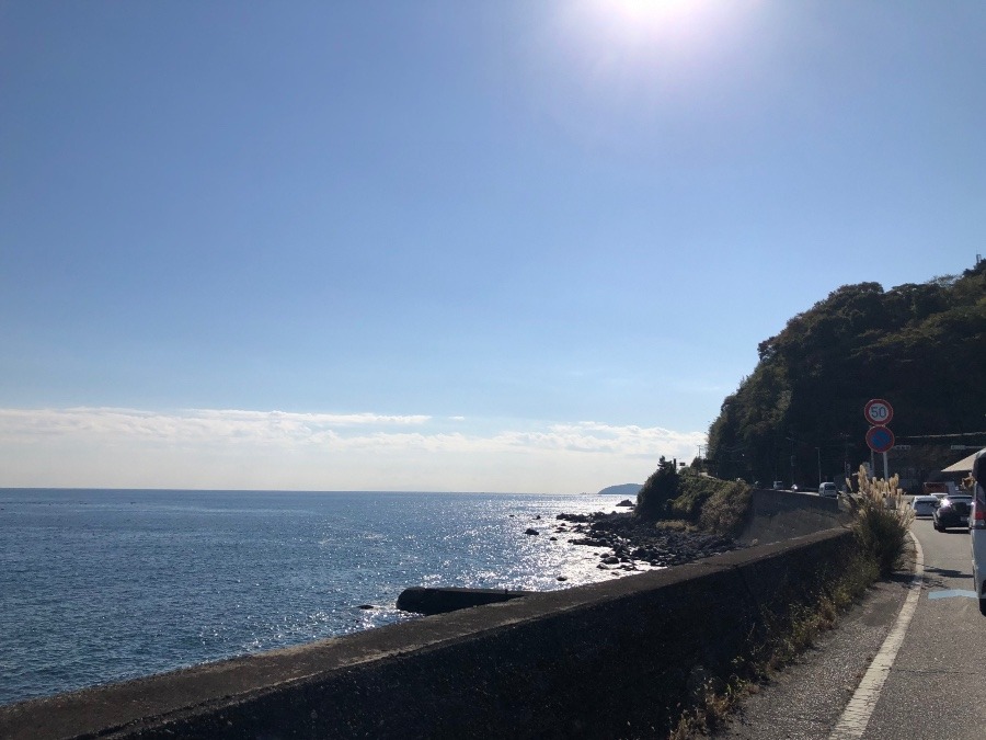 相模湾の海