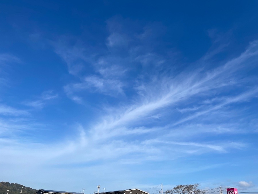 朝の空　② 9時半