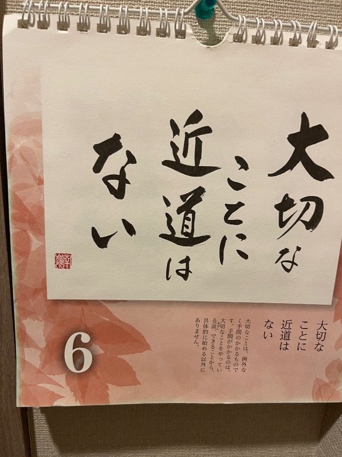 良樹細根