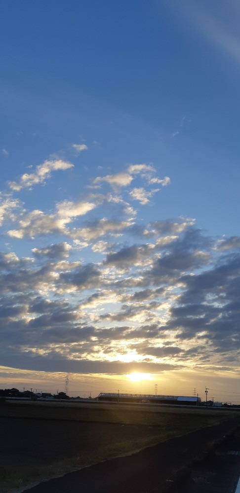 今日の夕焼け