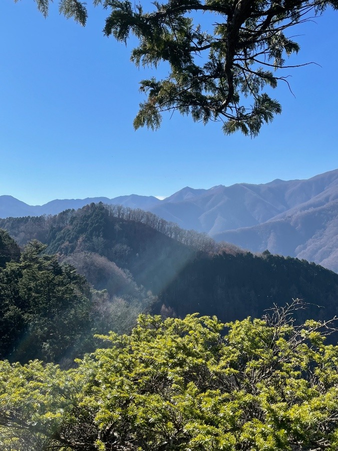 奥宮からの風景