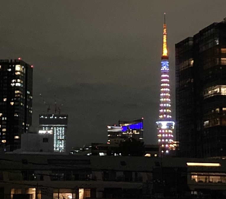 今日の東京タワー🗼