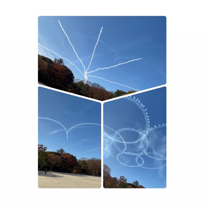 ブルーインパルス☆名古屋城上空