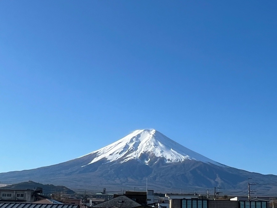 冬らしく。。。