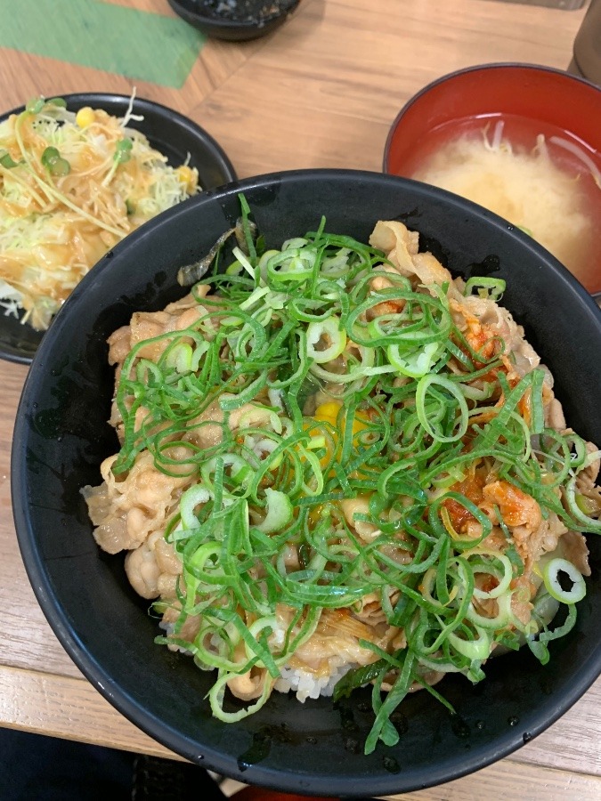 すた丼(すたみな丼)