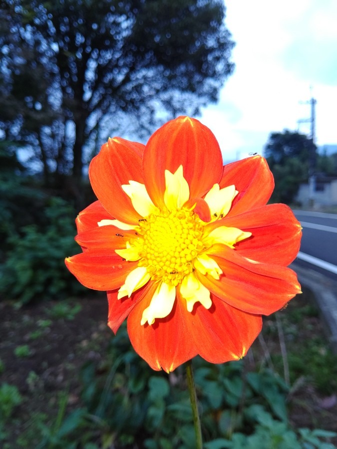見た事ない！