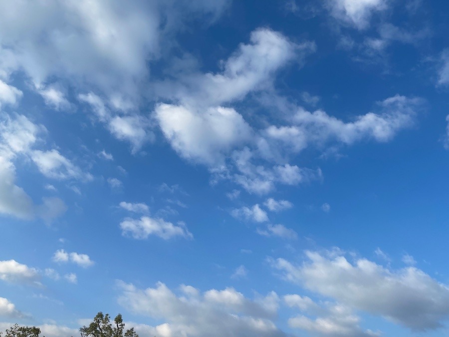 今朝の空