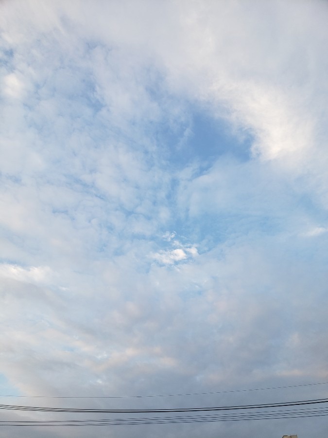 今日の空－11月19日