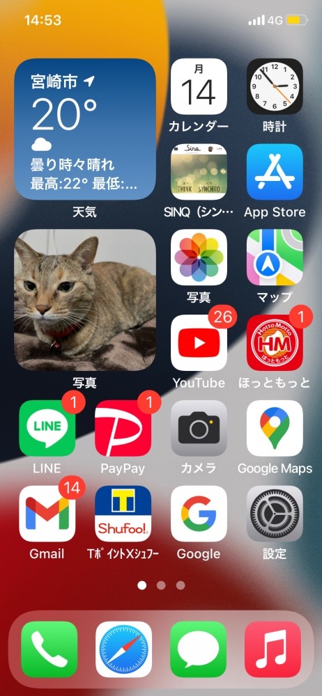 お気に入りの待受📱🐱