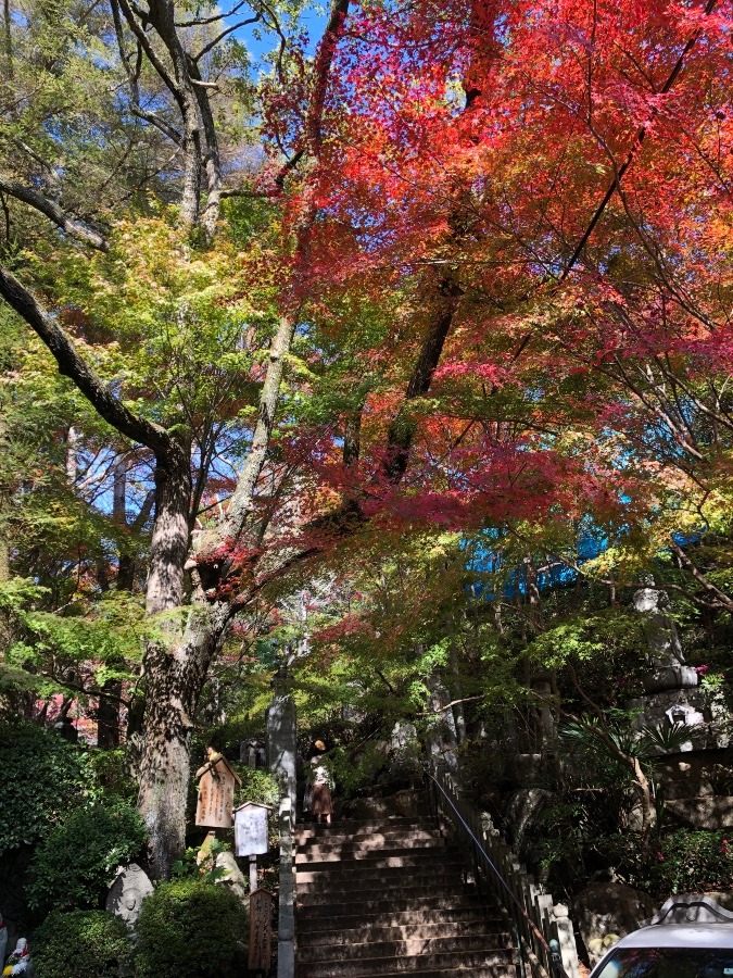 市内のお寺に紅葉狩りに行きました