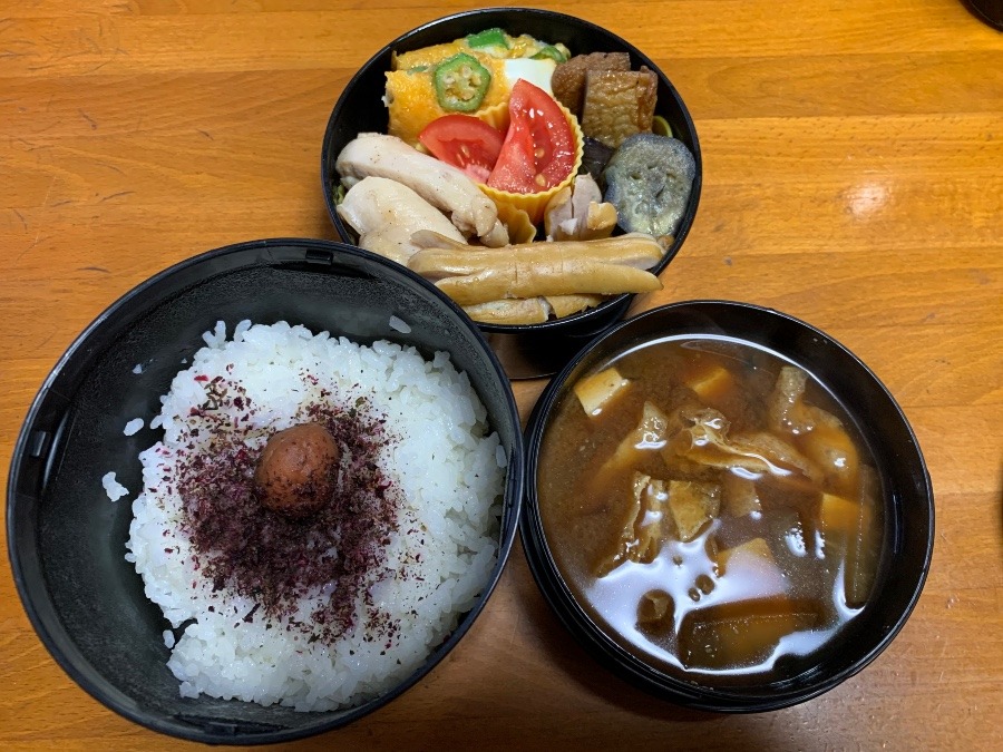 今日の弁当