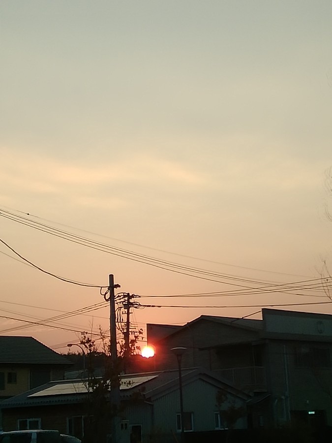 夕日