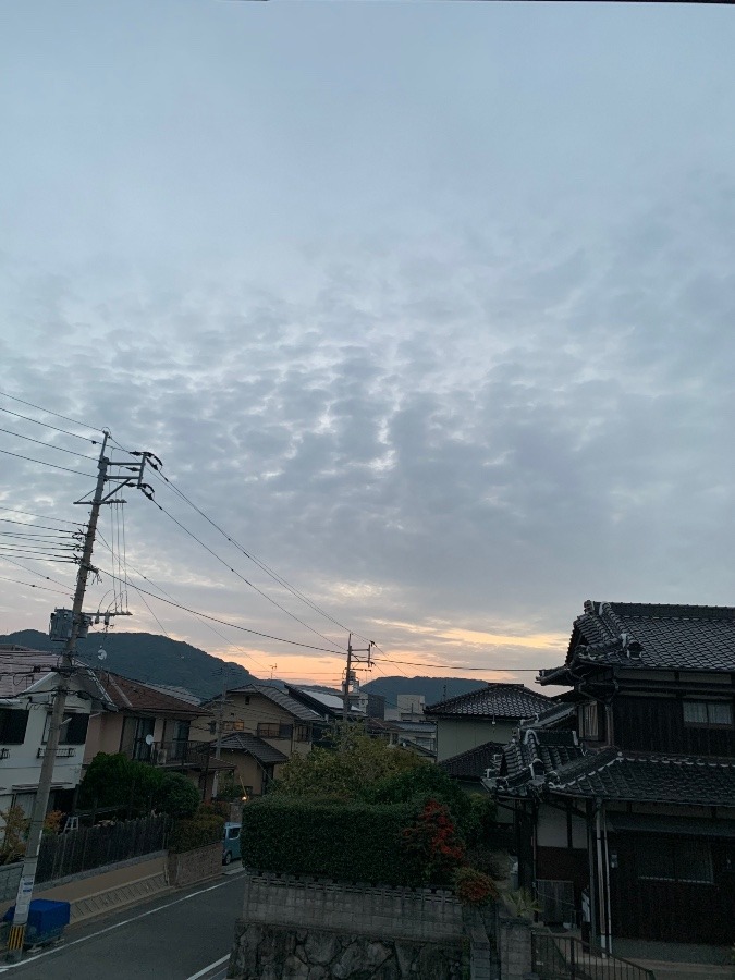 今朝の空