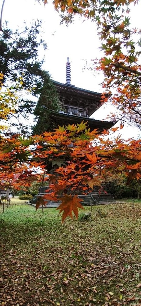 ちょっと寄り道(*^^*)