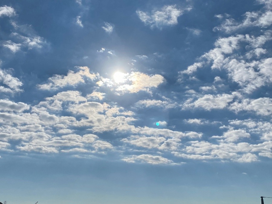 今朝の空11.18