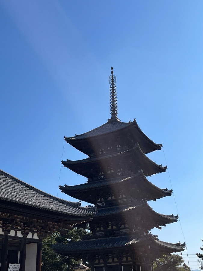 興福寺です(❁ᴗ͈ˬᴗ͈)