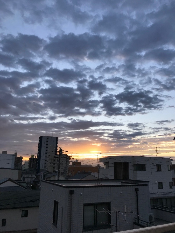 12/5の朝空〜