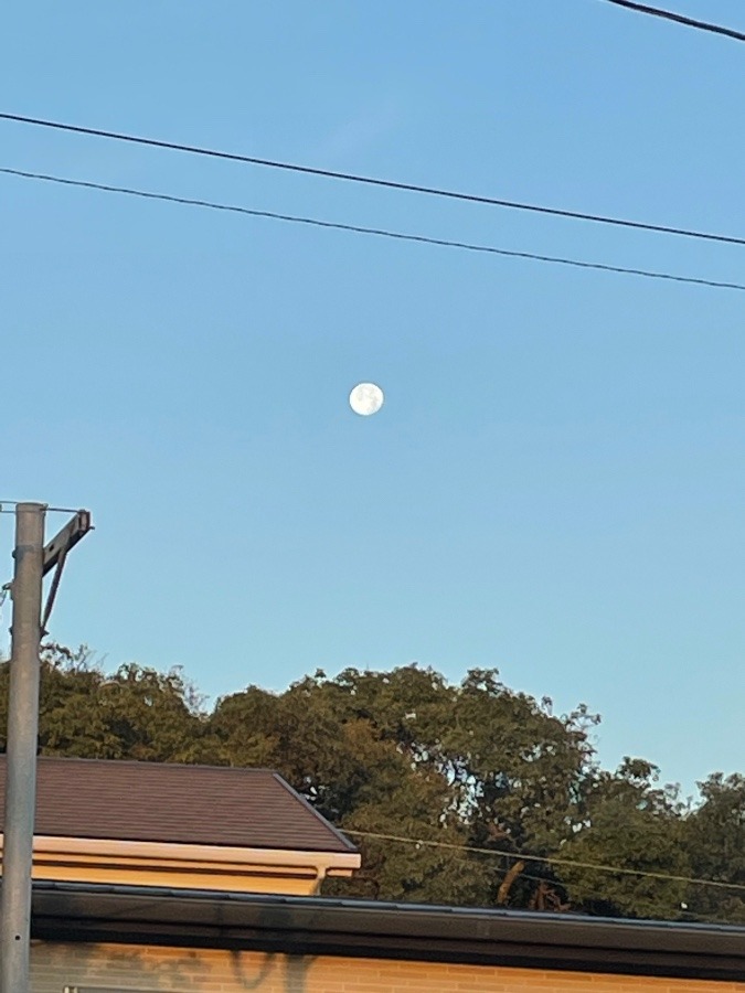 お月様🌕