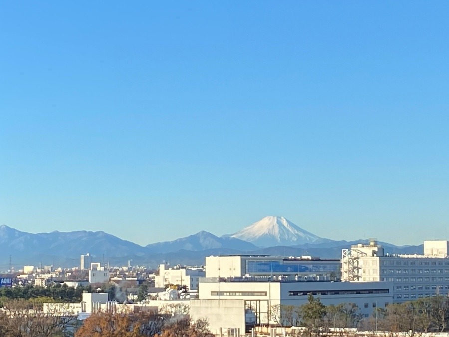 今朝の富士山