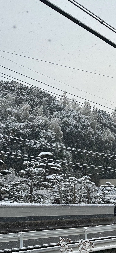 12／19朝の雪景色❄️