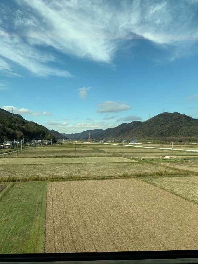 新幹線からの景色❣️