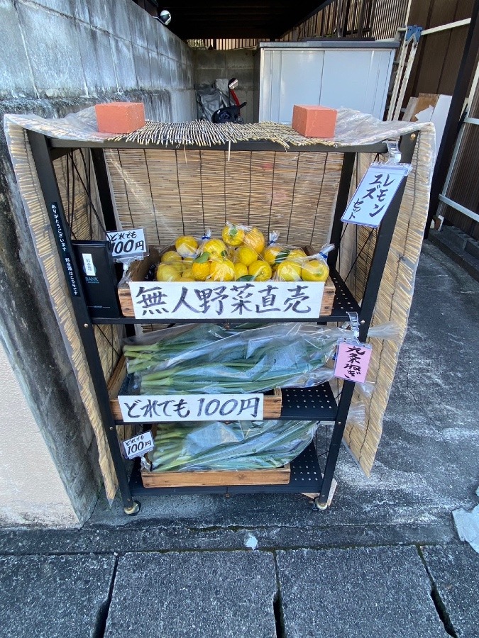 どれでも100円(^o^) ①