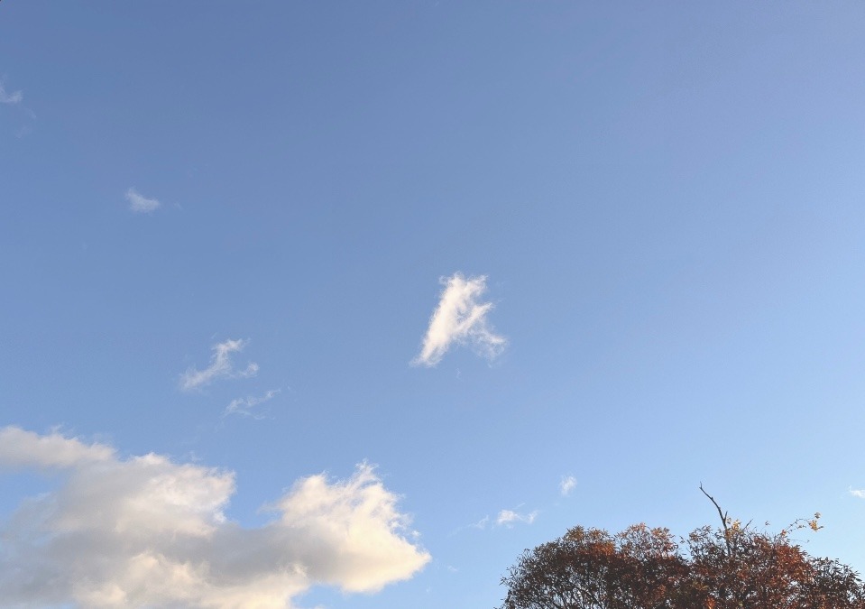 【朝の空】