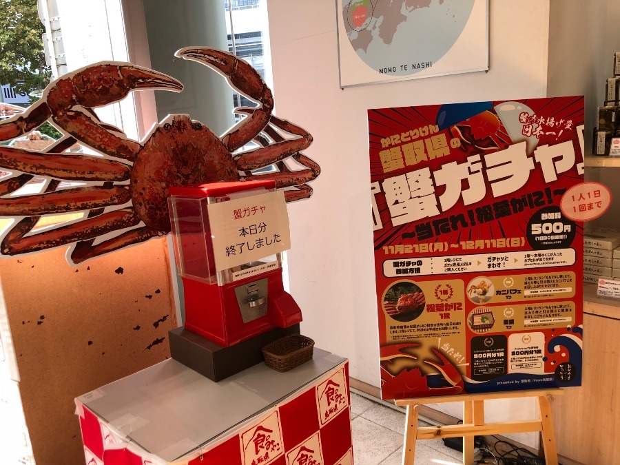 30名限定のガチャ