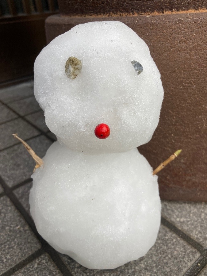 昨日孫と作った雪だるま❣️