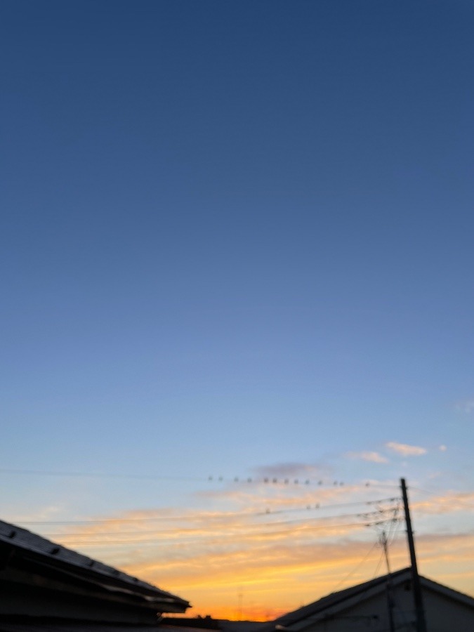 今日の東京の空は晴れ