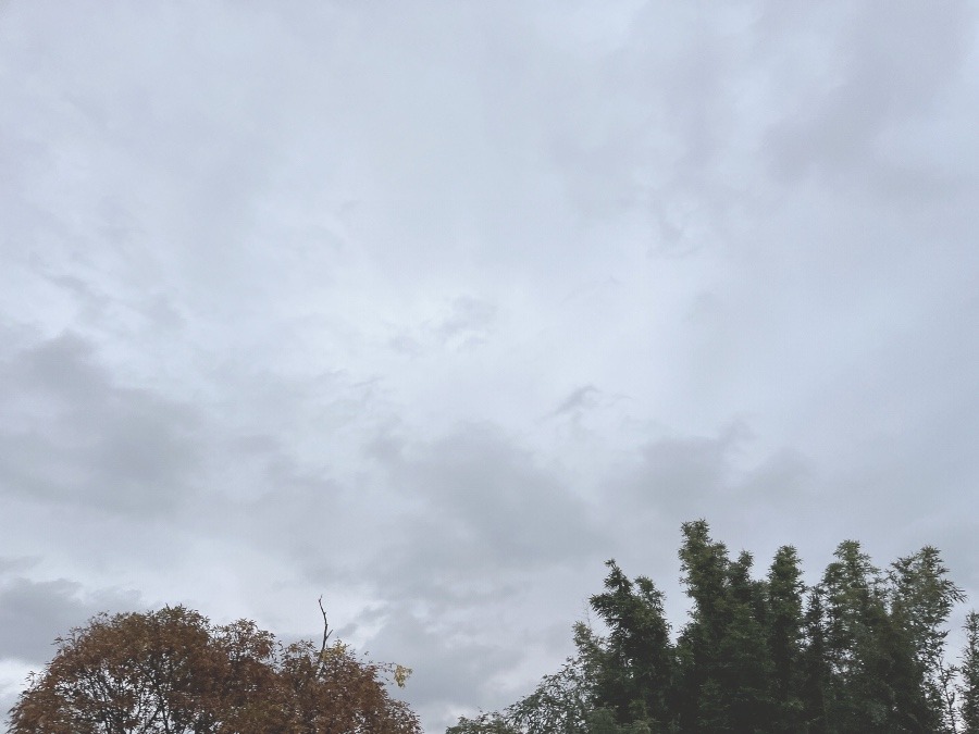 【朝の空】