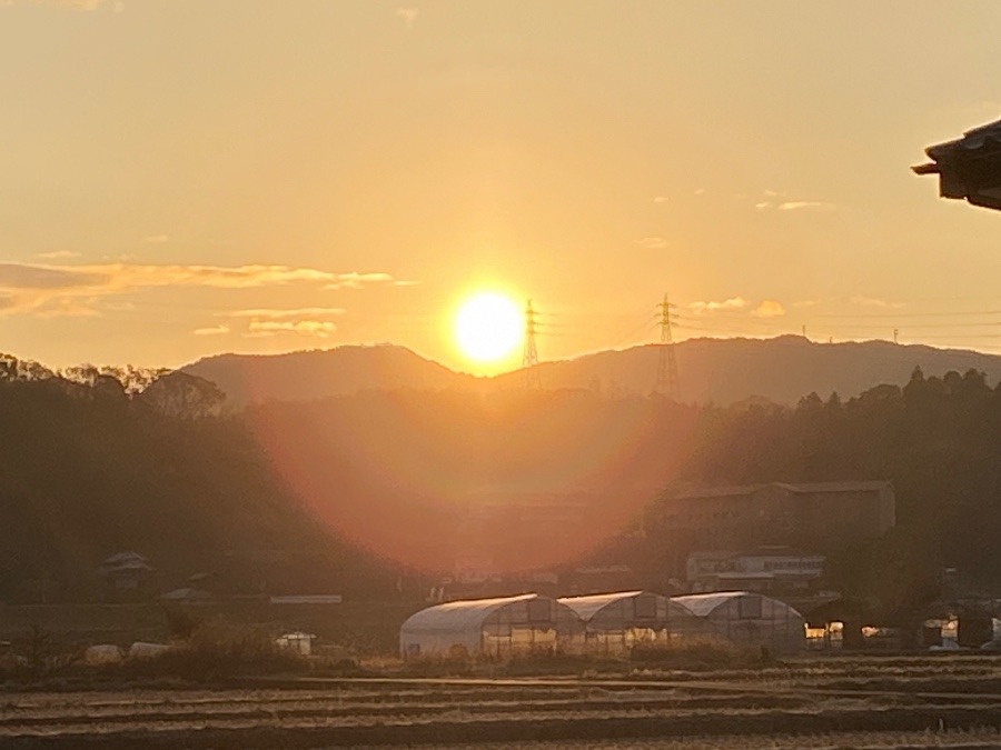 朝陽