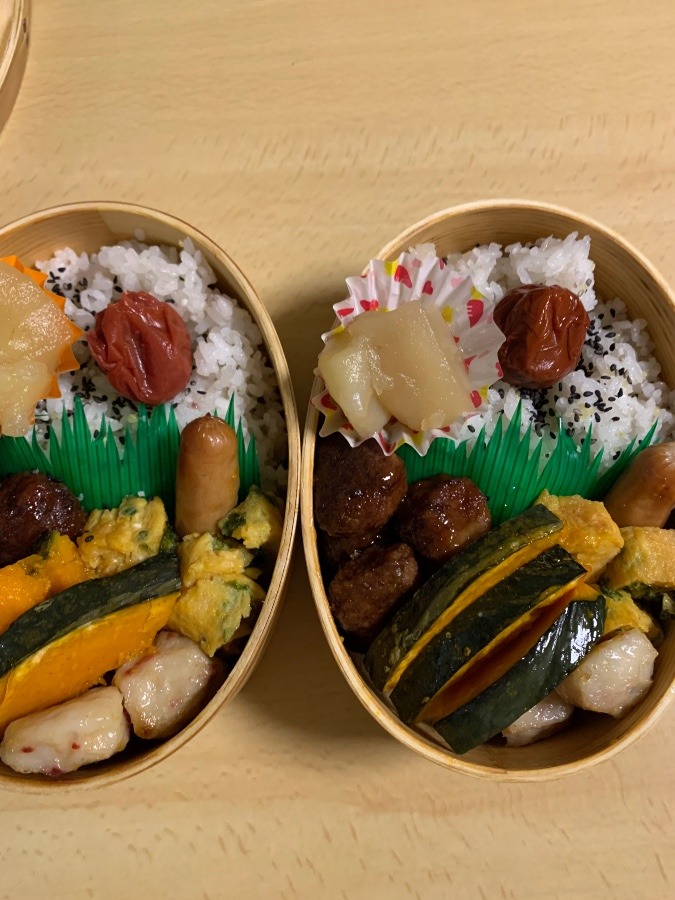 今日のお弁当