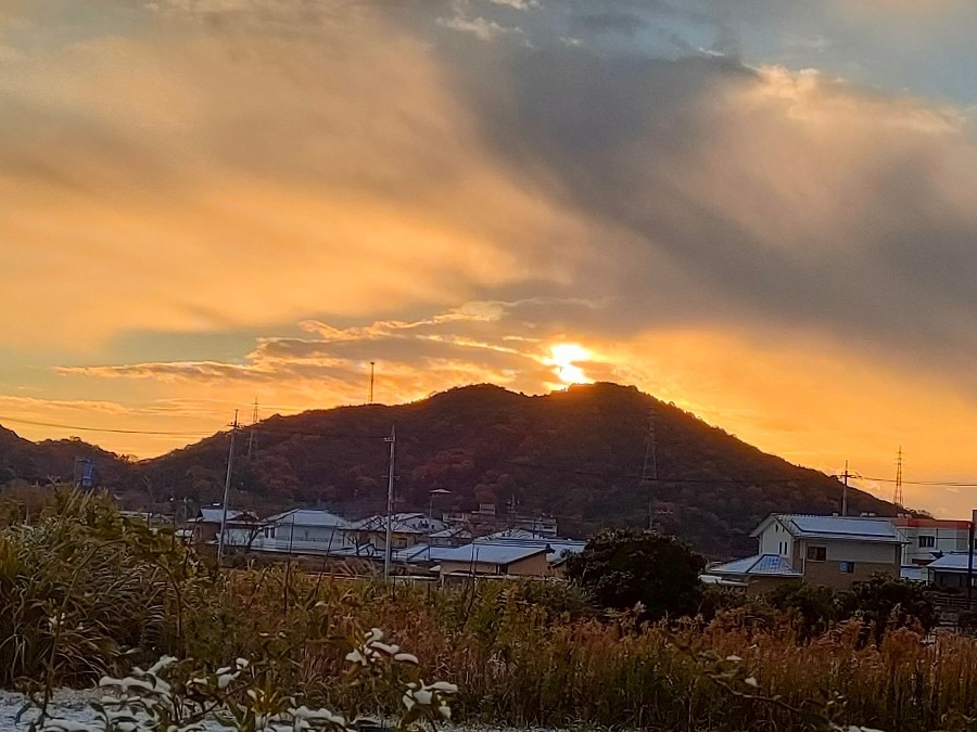 おはようございます
