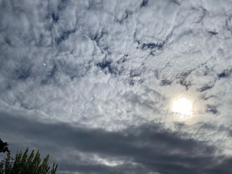 今の空12.4