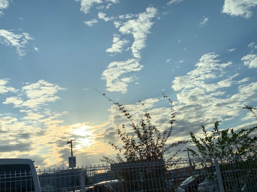 今日の空