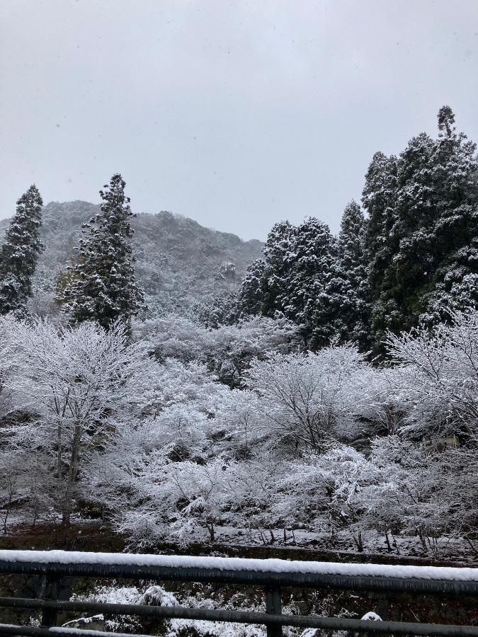 雪景色