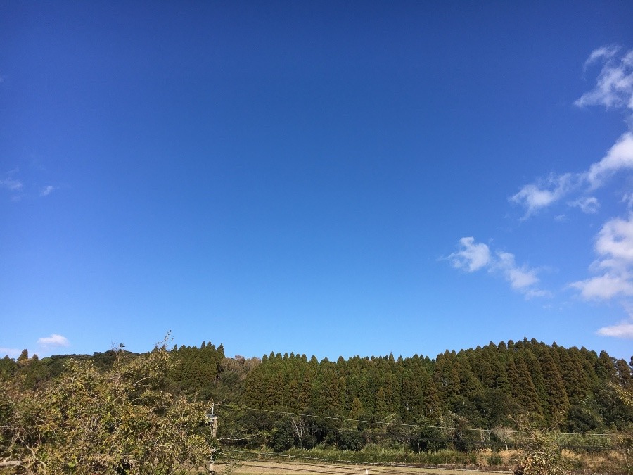 ⭕️空部→ 今日の空（≧∇≦）‼️312. 🌟