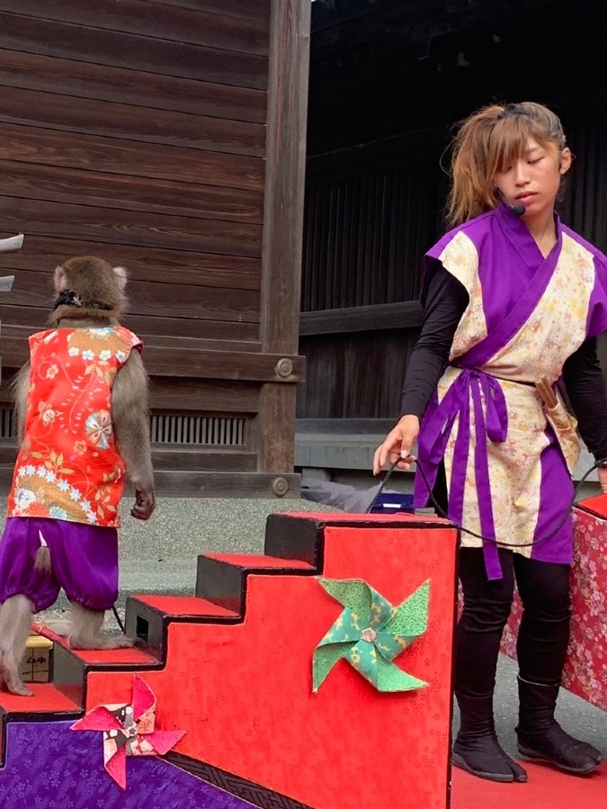 宮地嶽神社境内⛩さる吉の曲芸🐒🙉🐵