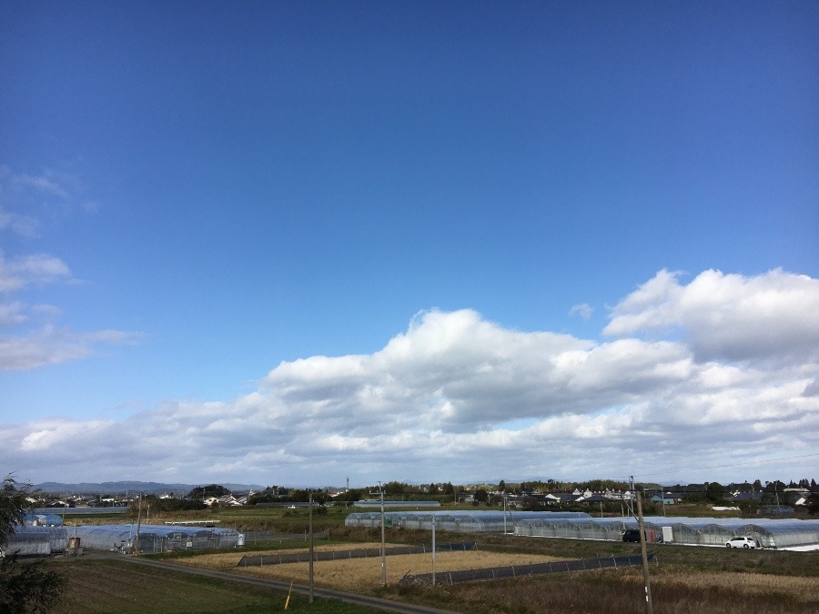 ⭕️空部→   今日の空（≧∇≦）‼️302.