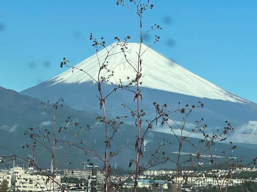 世界遺産