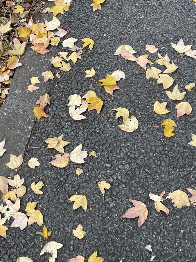 歩いていく