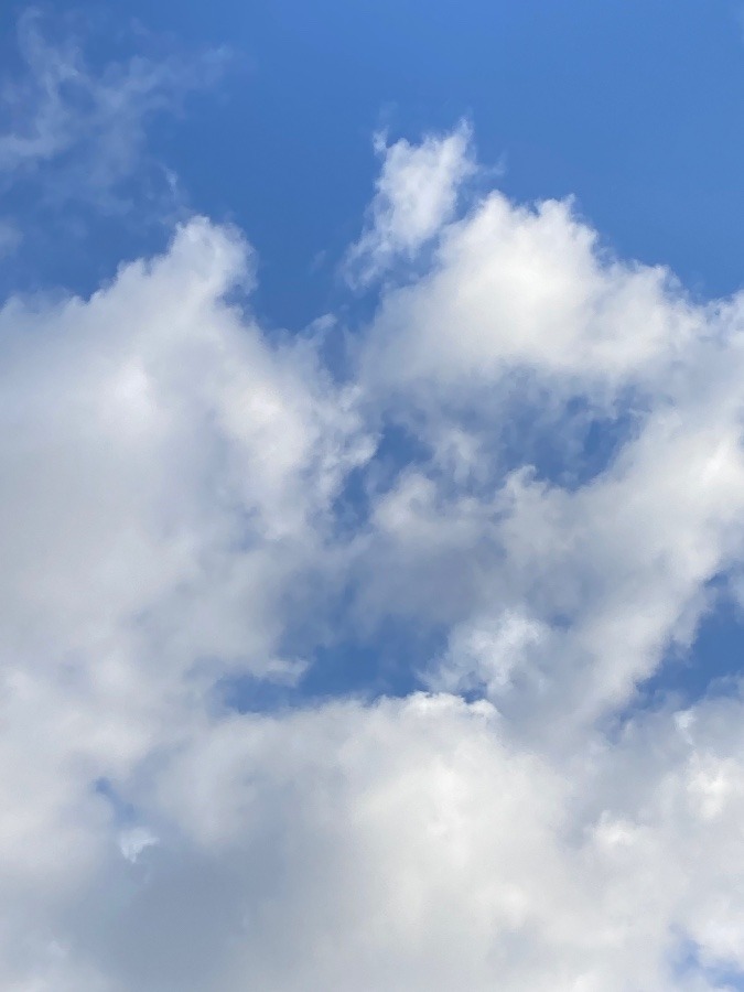 青空が見えるけど