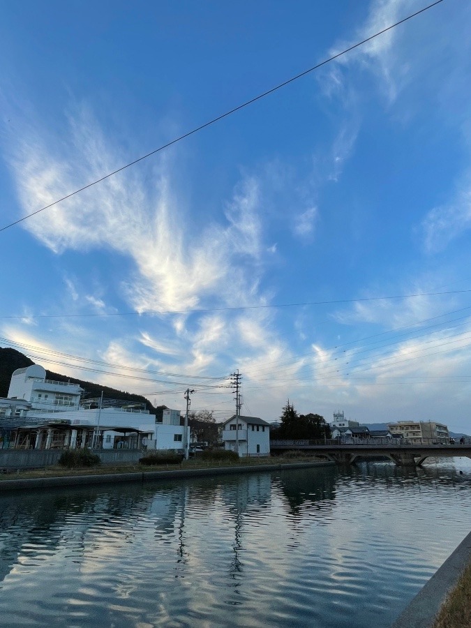 何だか　賑やか✨